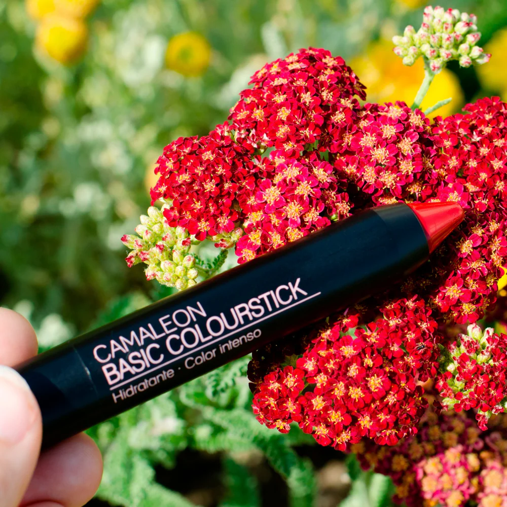 Pintalabios Rojo Basic Colourstick 4g Camaleon Cosmetics - Image 4
